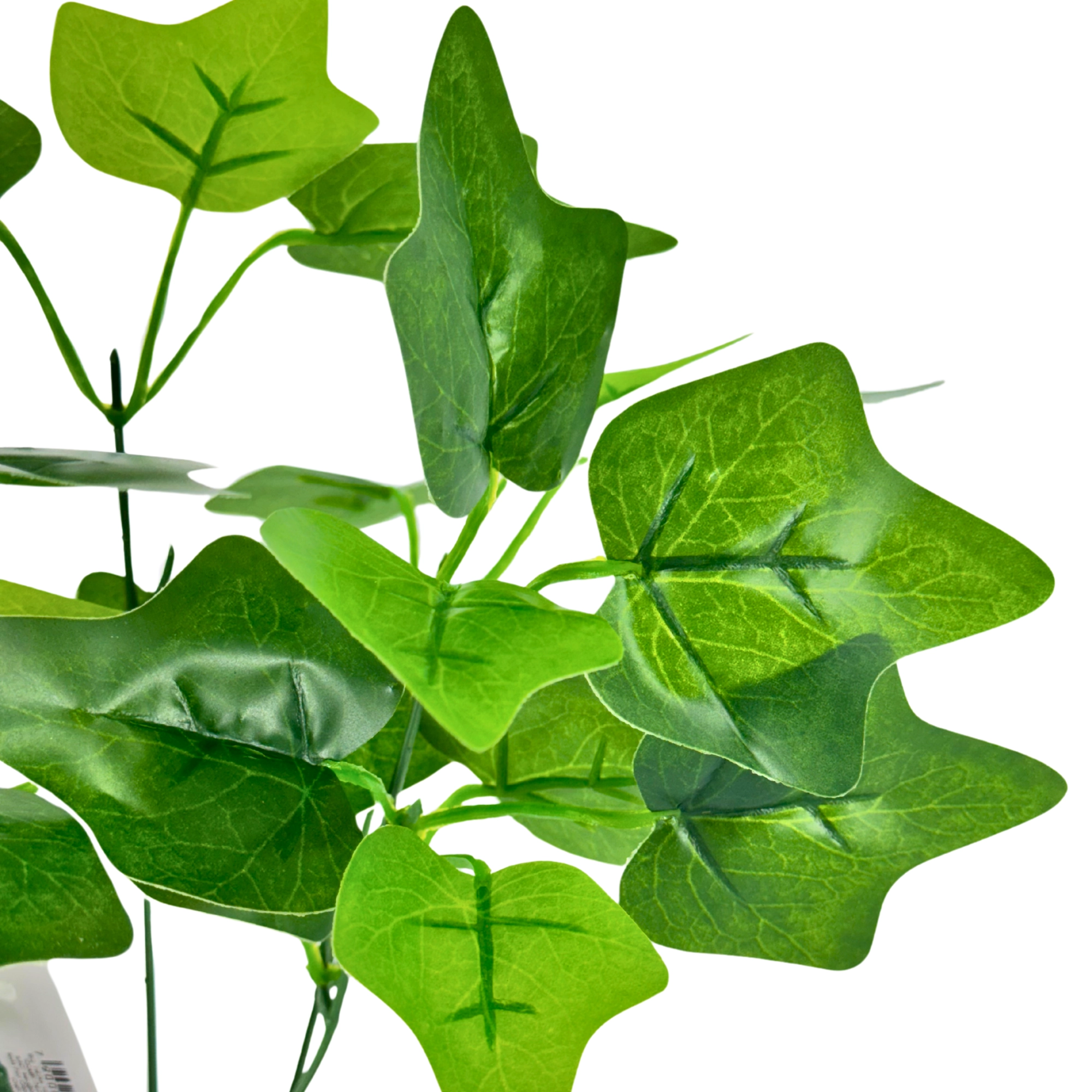 Buque Folhas Hera Verde 34cm X5 C27 Folhas Bela Flor