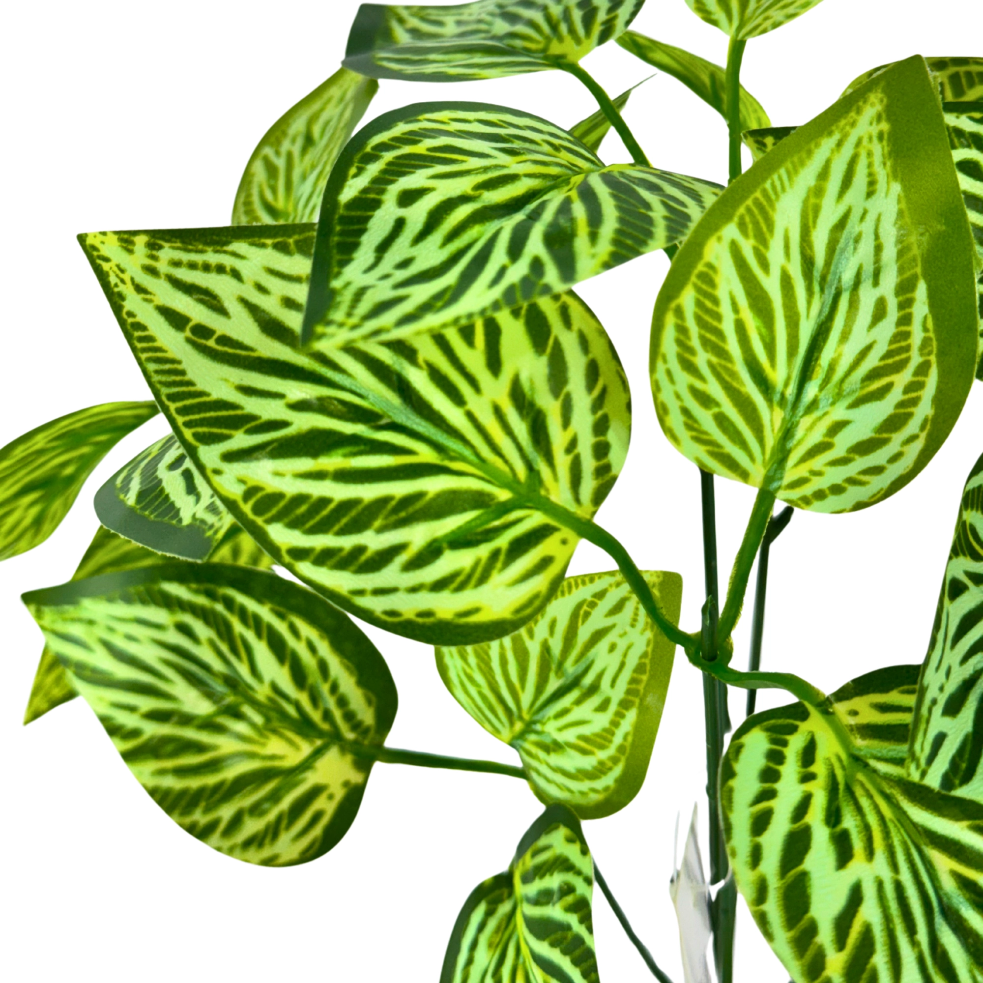 Bq Folha Melancia 34cm X5 C27 Folhas Verde 42704