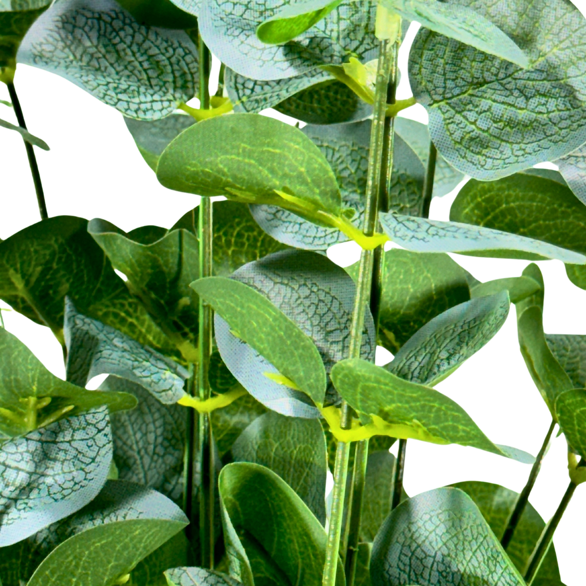 Buque Eucalipto 46cm X4 C 64 Folhas 42900vdc Bela Flor