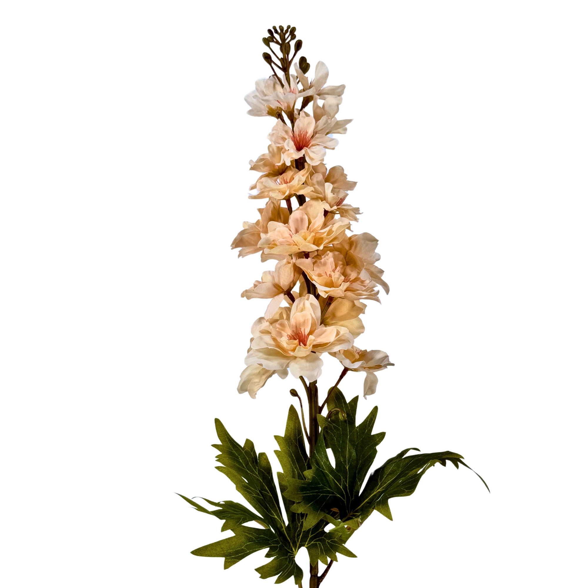 Haste Delfino Cafe 88cm 42931cf Bela Flor