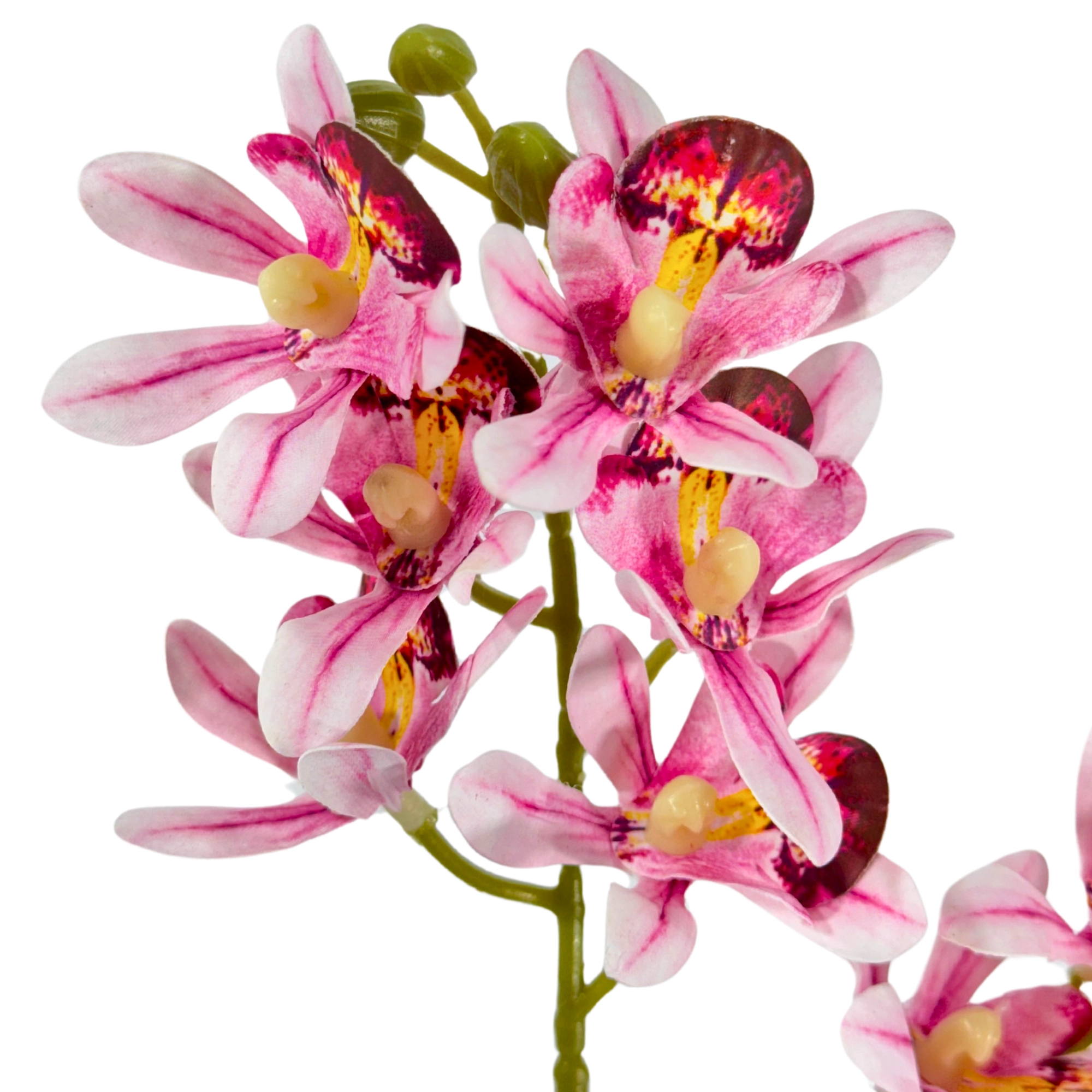 Buque Orquidea Cymbidium X2 Rosa 31cm 43053rs Bela Flor