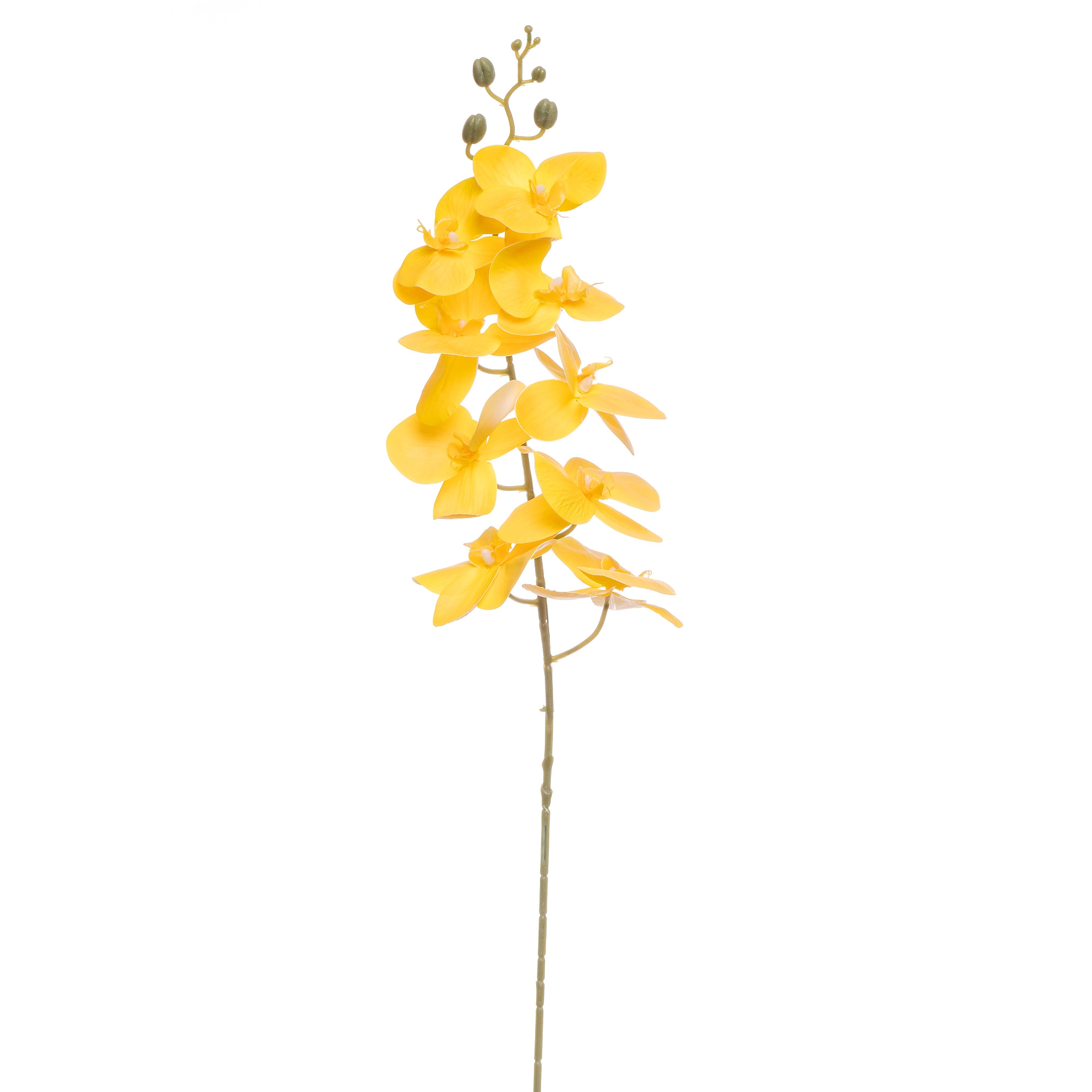 Haste Orquidea X9 Amarelo 90cm 43536am Bela Flor