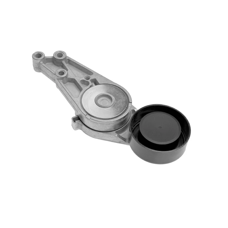 Tensor da Correia do Alternador AUDI A4 - INA 5340127300