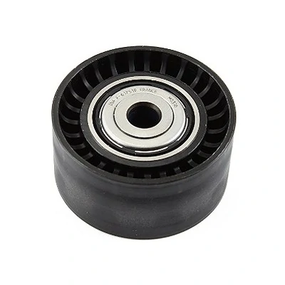 Polia do Tensor Alternador - INA 5320534100