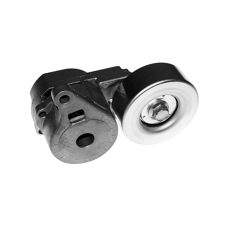 Tensor da Correia do Alternador - INA 5340285100
