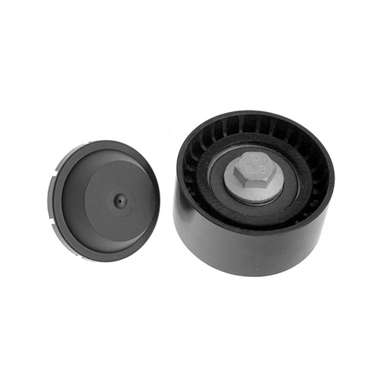 Polia do Tensor Alternador - INA 5320555100