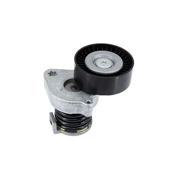 Tensor da Correia do Alternador - INA 5340370100