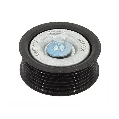 Polia do Tensor Alternador - INA 5320629100