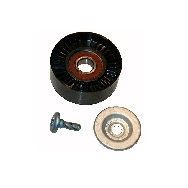 Polia do Tensor Alternador - INA 5320648100