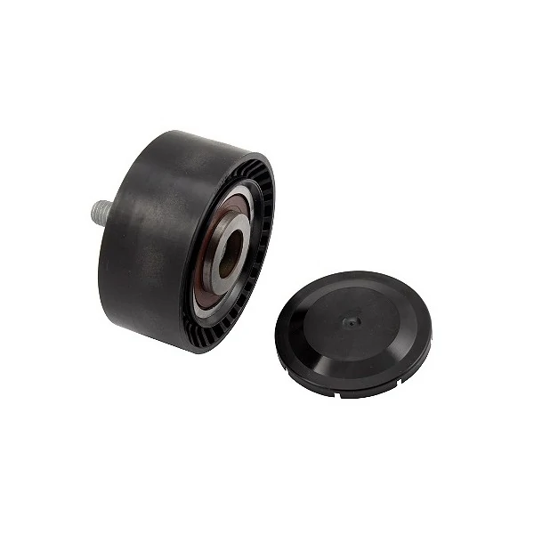 Polia do Tensor Alternador - INA 5320722100