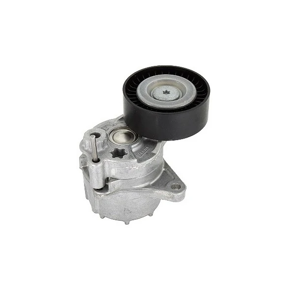Tensor da Correia do Alternador - INA 5340481100