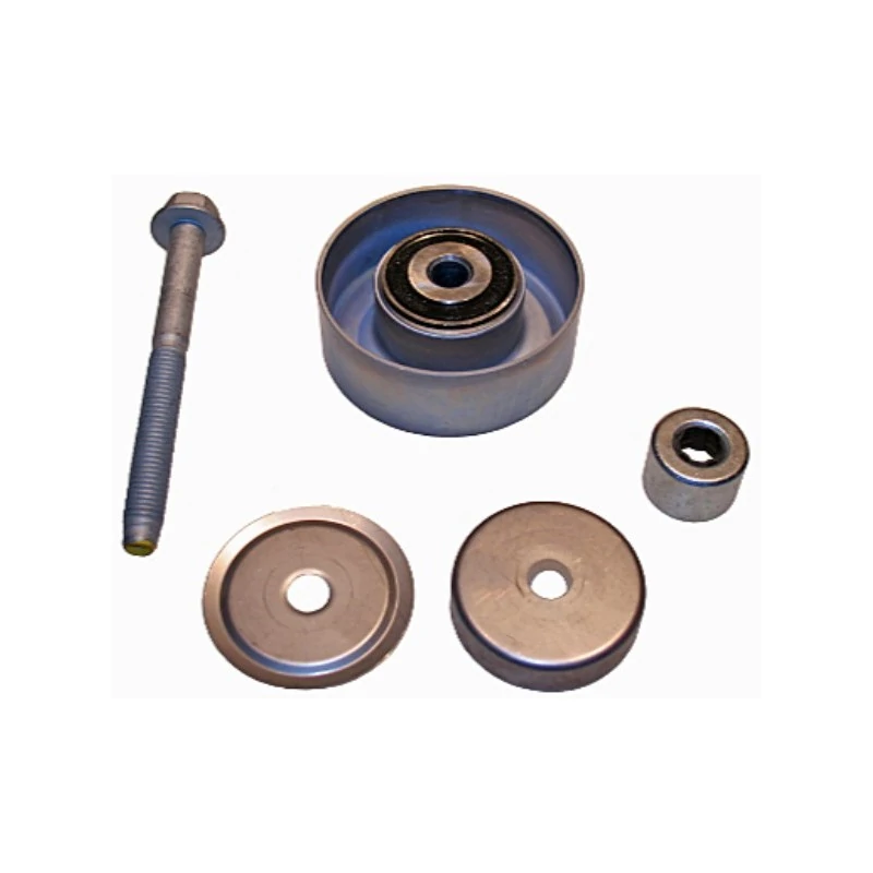 Polia do Tensor Alternador - INA 5320665100