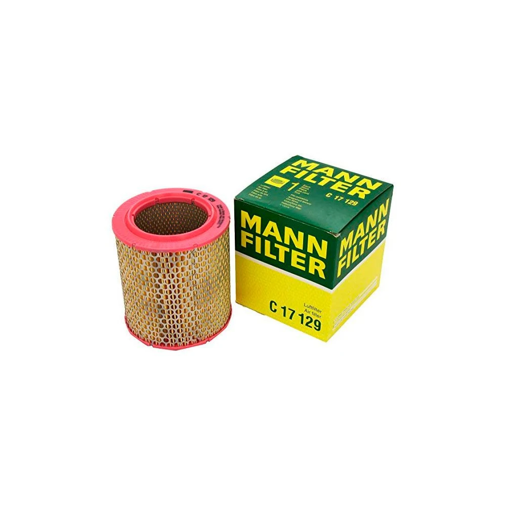 Filtro de Ar - MANN HUMMEL C17129