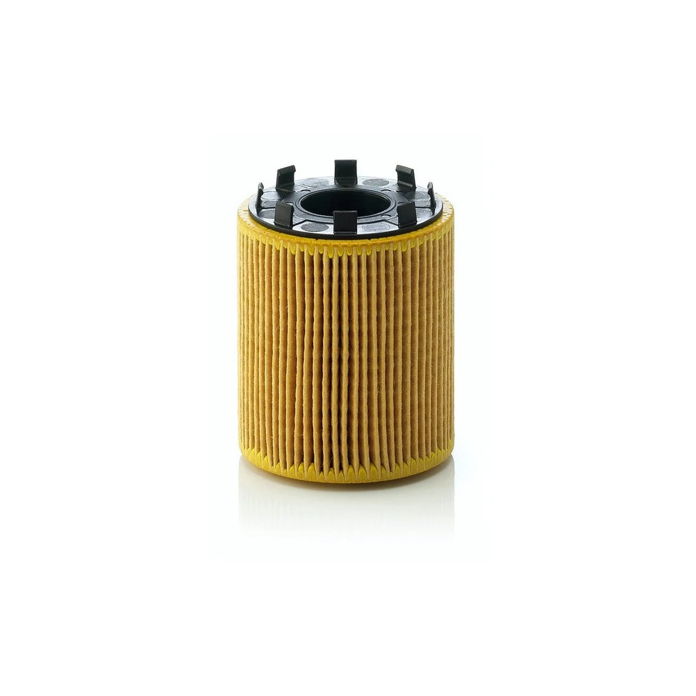 Filtro Lub Mann Filter Hu713/1x