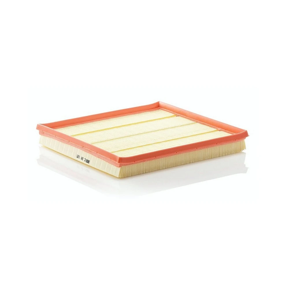 Filtro de Ar - MANN HUMMEL C28125