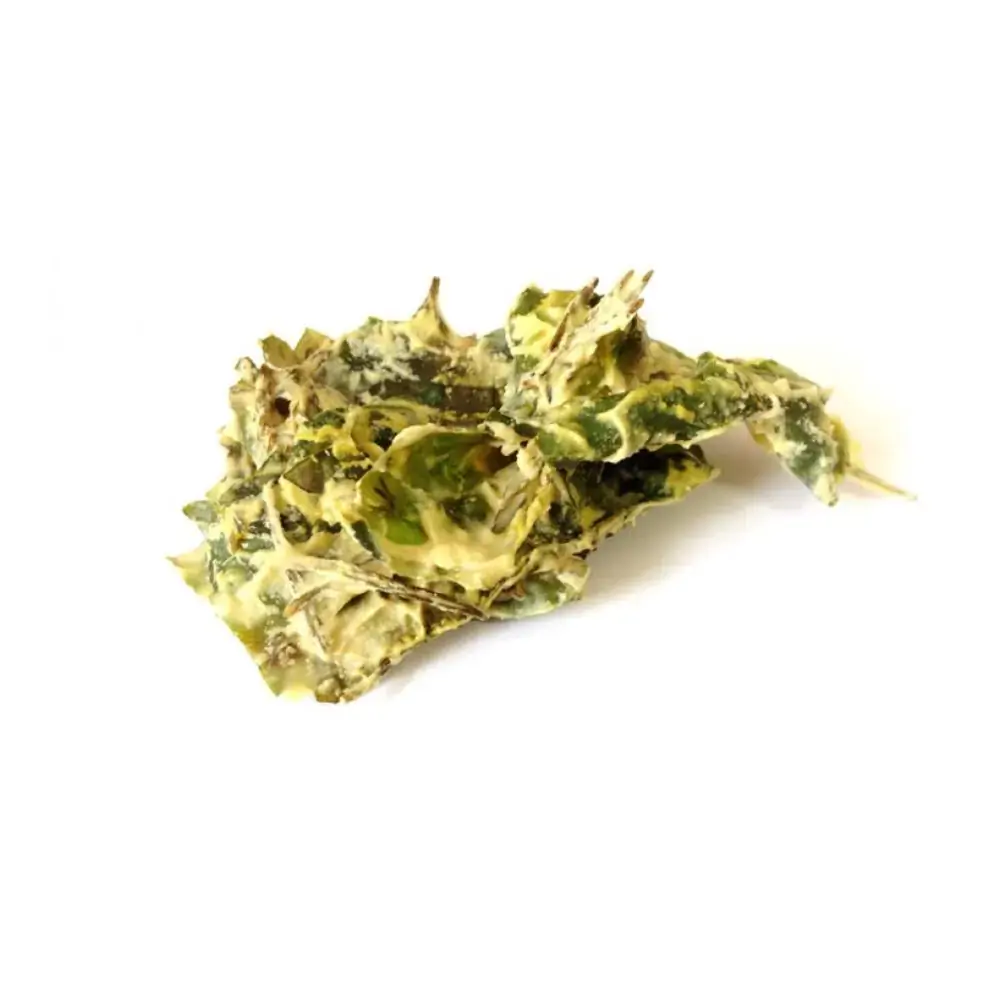 Almost Kale 20g Urban Remedy