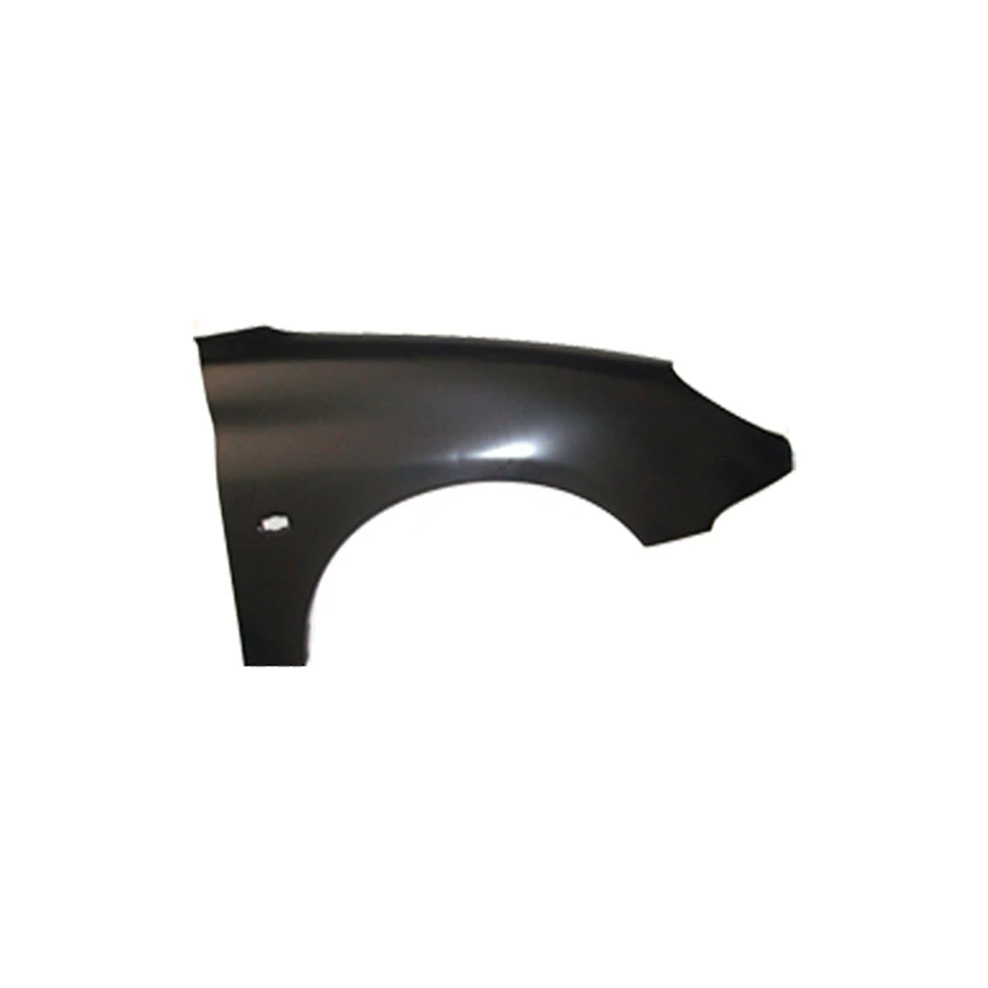 Para-lama PEUGEOT 206/206 SW Lado Esquerdo - RUFATO 18823