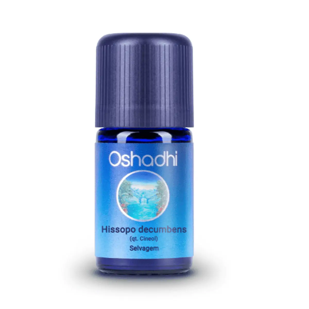 Óleo Essencial Hissopo Decumbens Cineol Selvagem 5ml