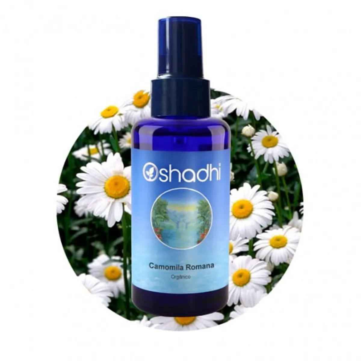 Hidrolato De Camomila Romana 100ml Oshadhi .