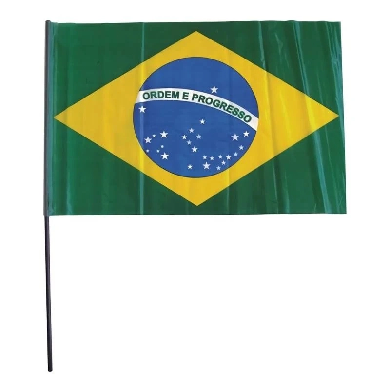 Bandeira Copa Lila C/cabo Plastico 1un Nyr