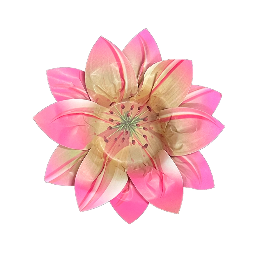 Form Lily 25un Ultrafest