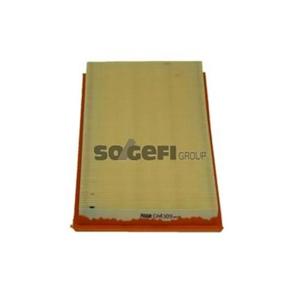 Filtro de Ar - FRAM CA4309