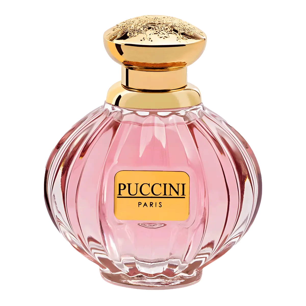 Puccini Paris For Women Eau de Parfum - Perfume Feminino - 100ml 100ml