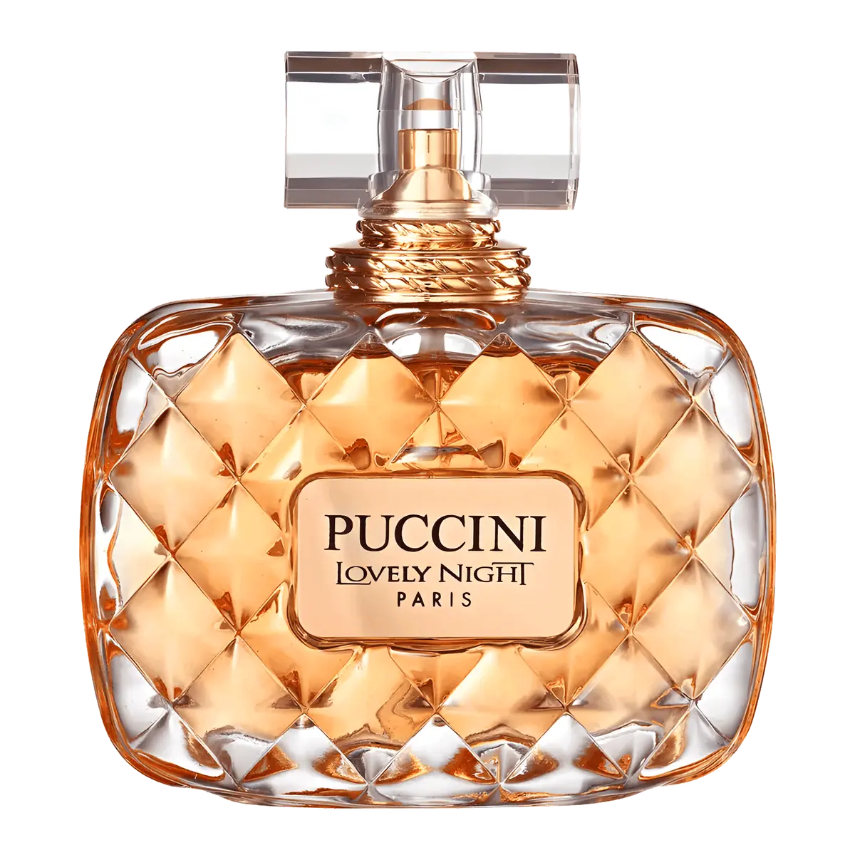 Puccini Lovely Night Eau de Parfum - Perfume Feminino - 100ml 100ml