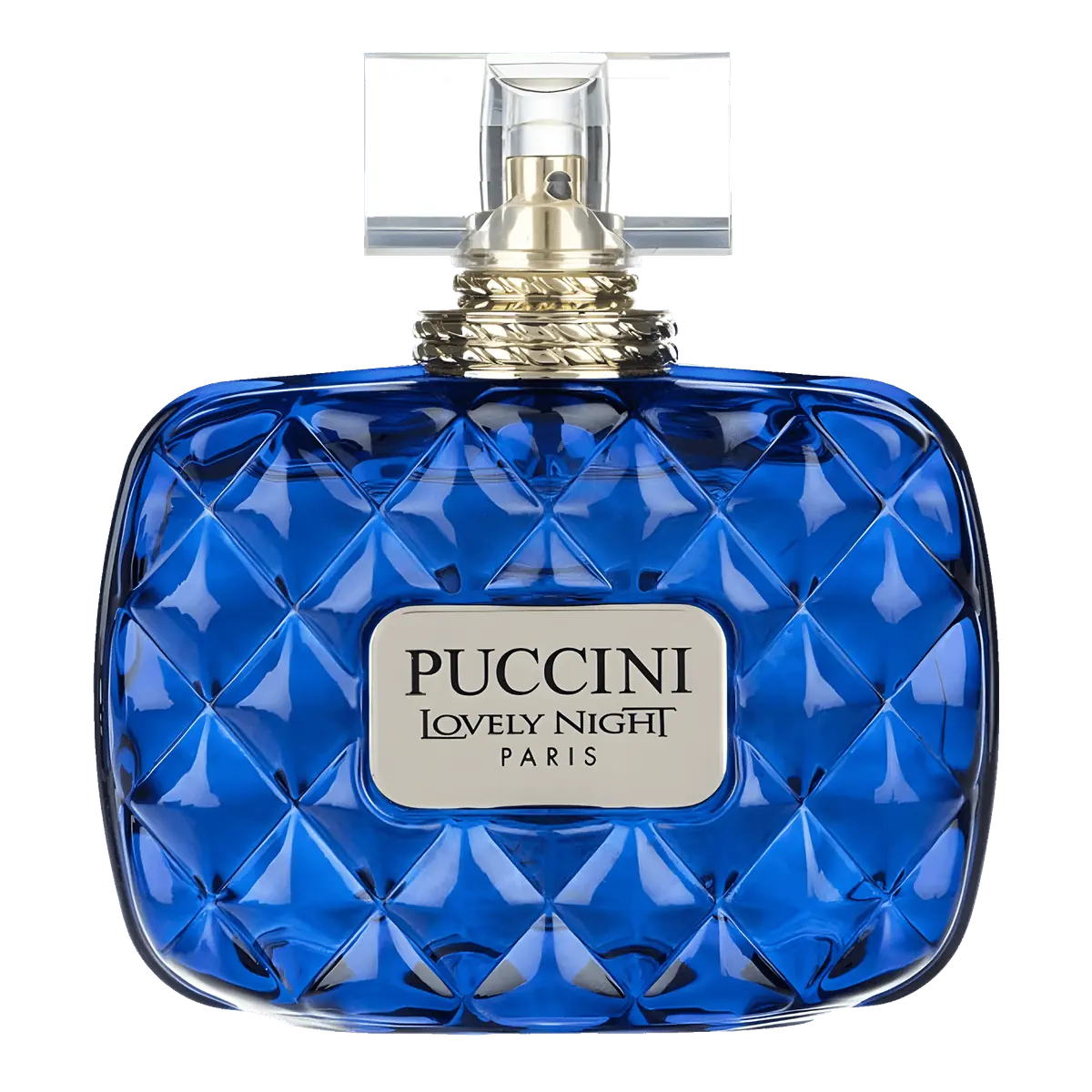 Puccini Lovely Night Blue Eau de Parfum - Perfume Feminino - 100ml 100ml