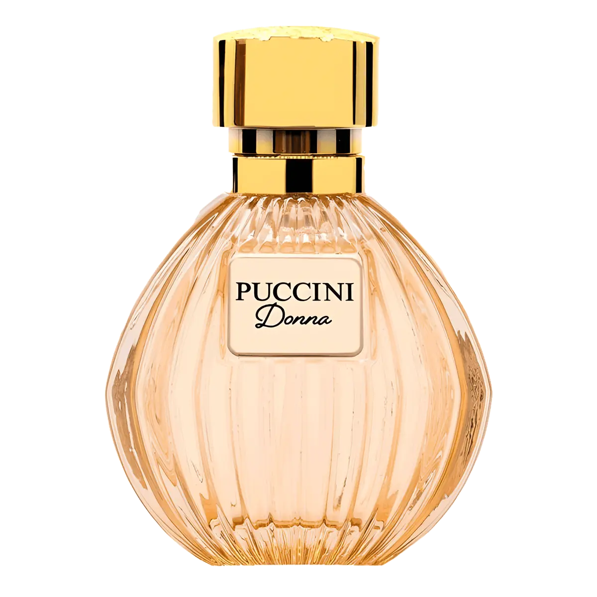 Puccini Donna Paris Nude Eau de Parfum - Perfume Feminino - 100ml
