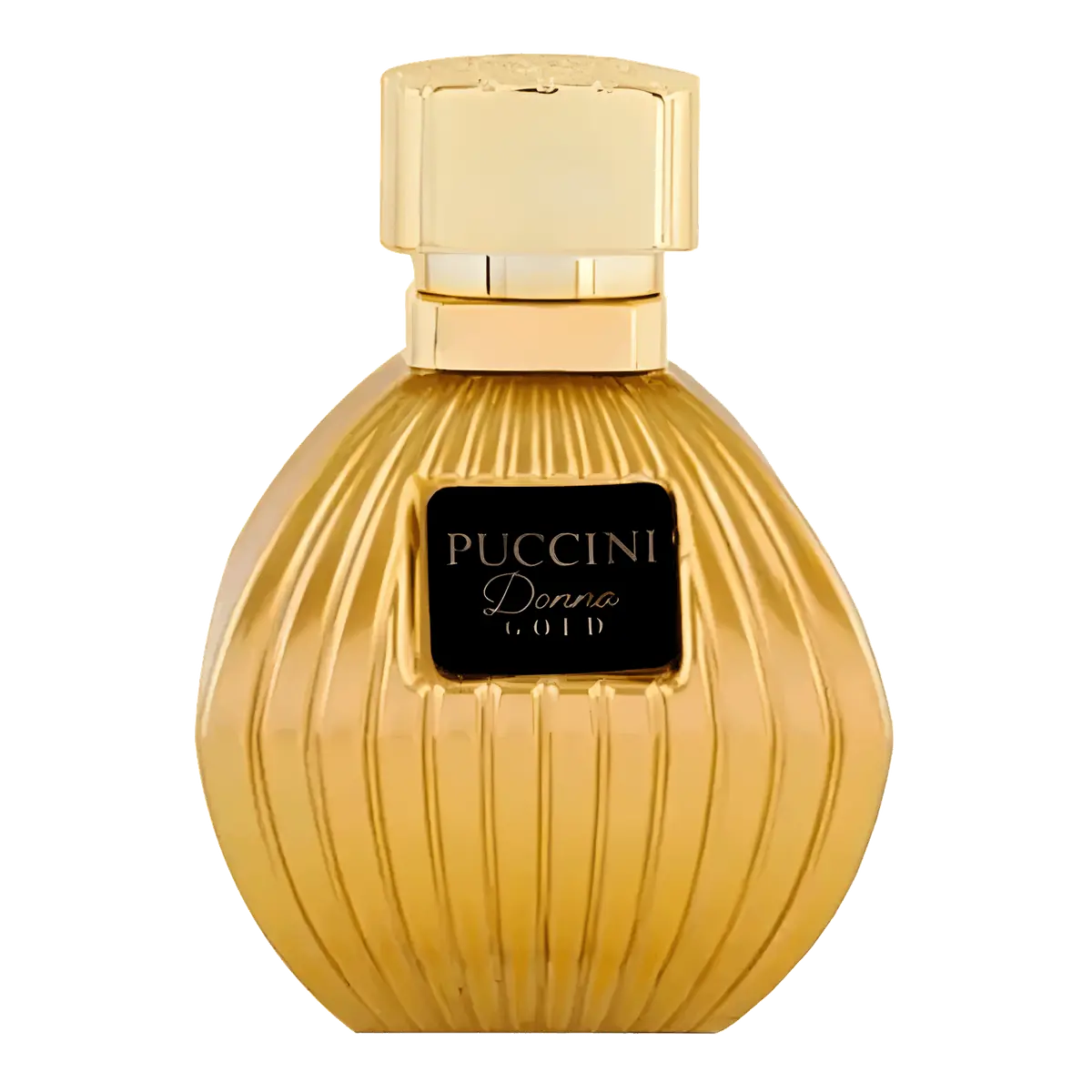 Puccini Donna Paris Gold Eau de Parfum - Perfume Feminino - 100ml