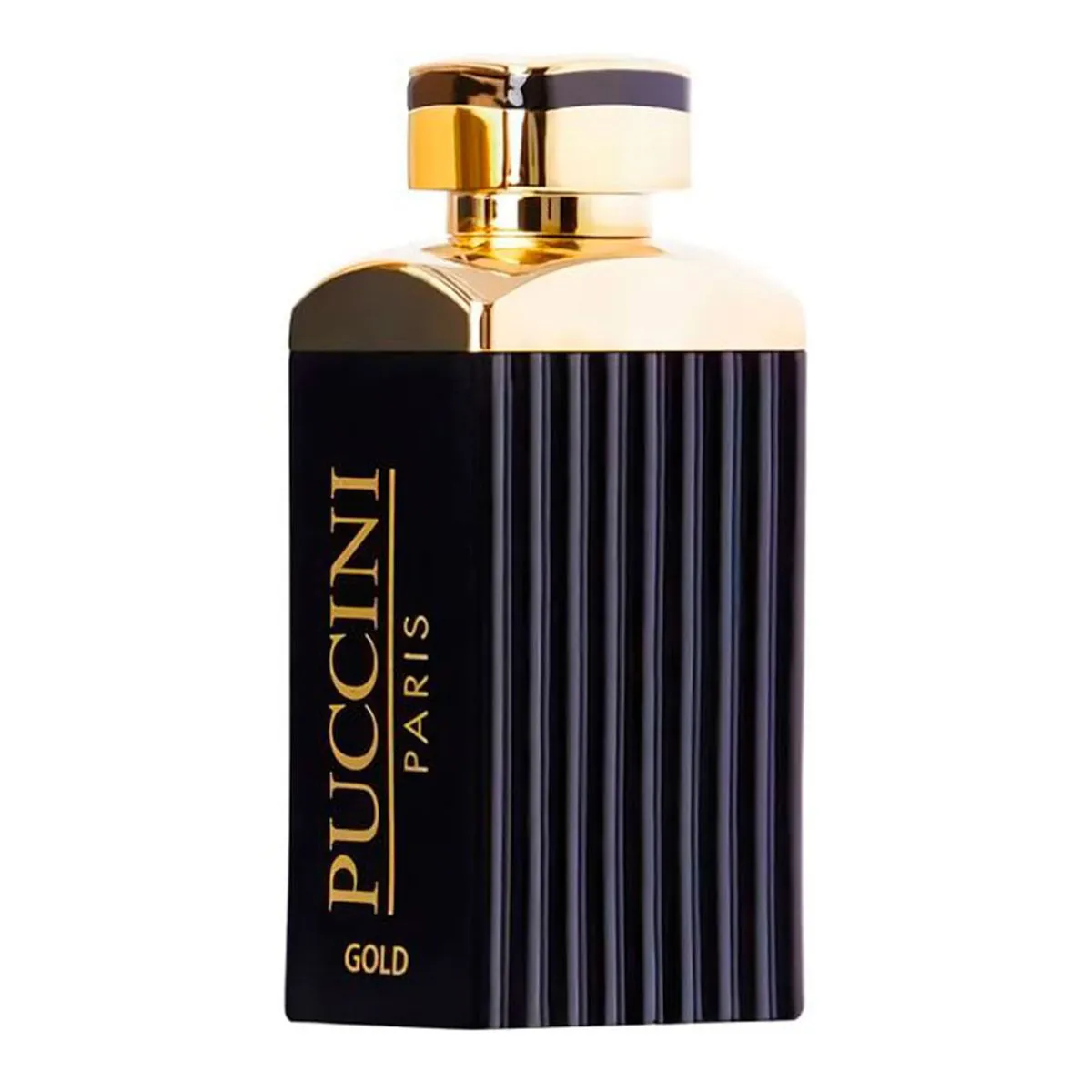 Puccini Paris Gold Pour Homme Eau De Parfum - Perfume Masculino 100ml