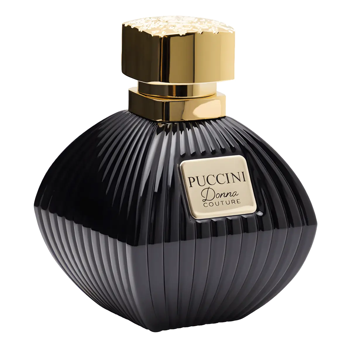 Puccini Donna Paris Couture Eau de Parfum - Perfume Feminino - 100ml 100ml