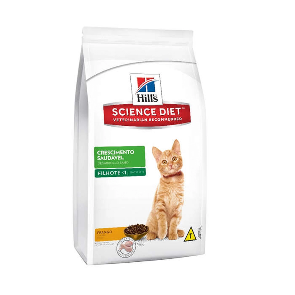 Filhote De Gato Crescimento Saudável