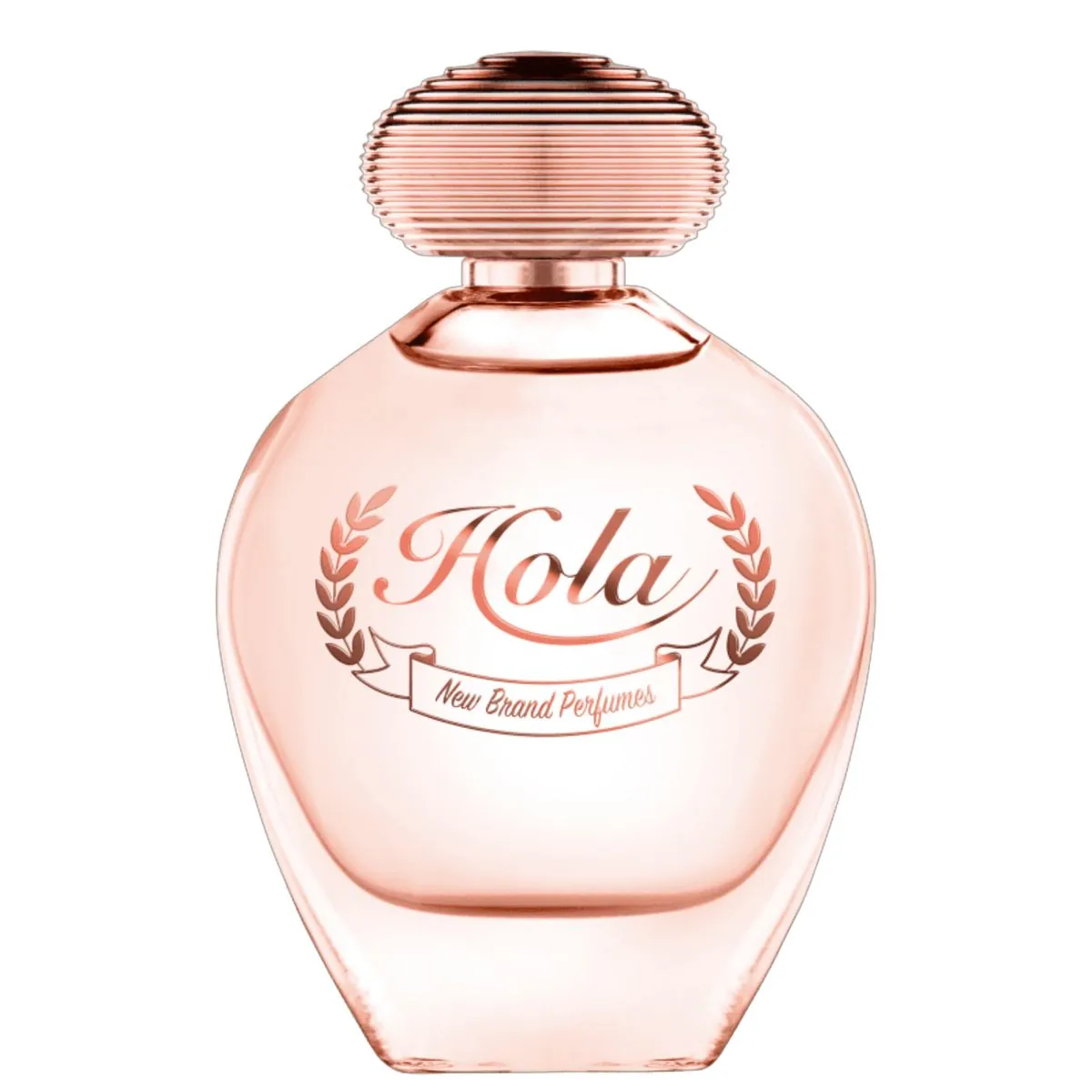 Perf Hola New Brand 100ml