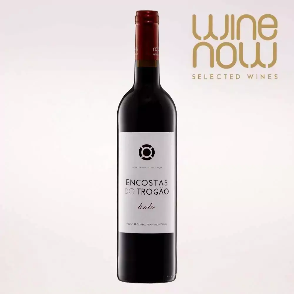 Vinho Encostas do Trogão 2019 Tinto Portugal 750ml