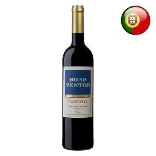 Vinho Port.bons Ventos 750ml Douro Tto