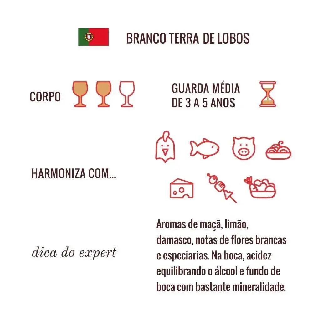 Vinho Branco Terra de Lobos Sauvignon Blanc 750 ml