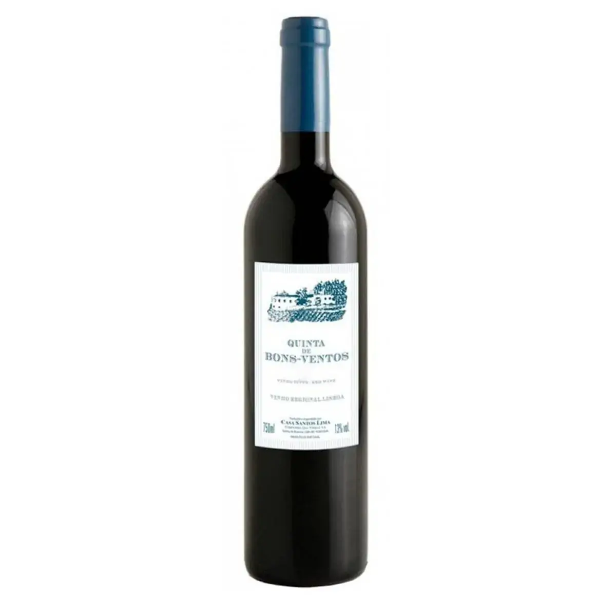 Vinho Port.bons Ventos 750ml Tto