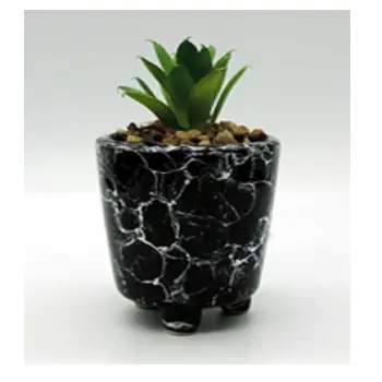 Vaso Ceramica C/suculenta 11x7cm Ref.brno 10245