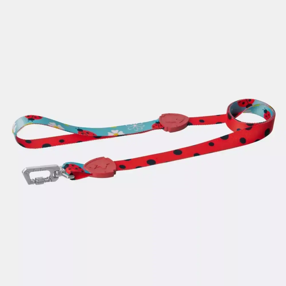 Guia Tradicional FreeFaro New Ladybug