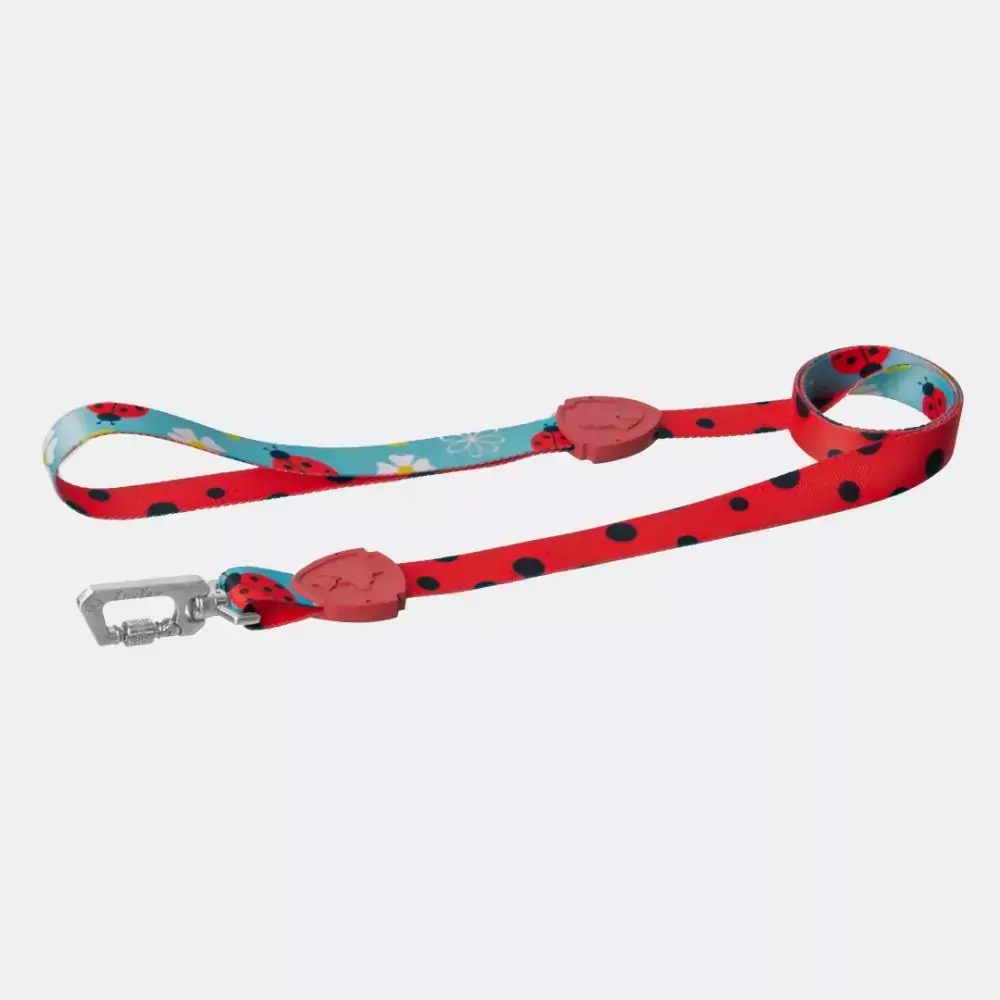 Guia Tradicional FreeFaro New Ladybug - P