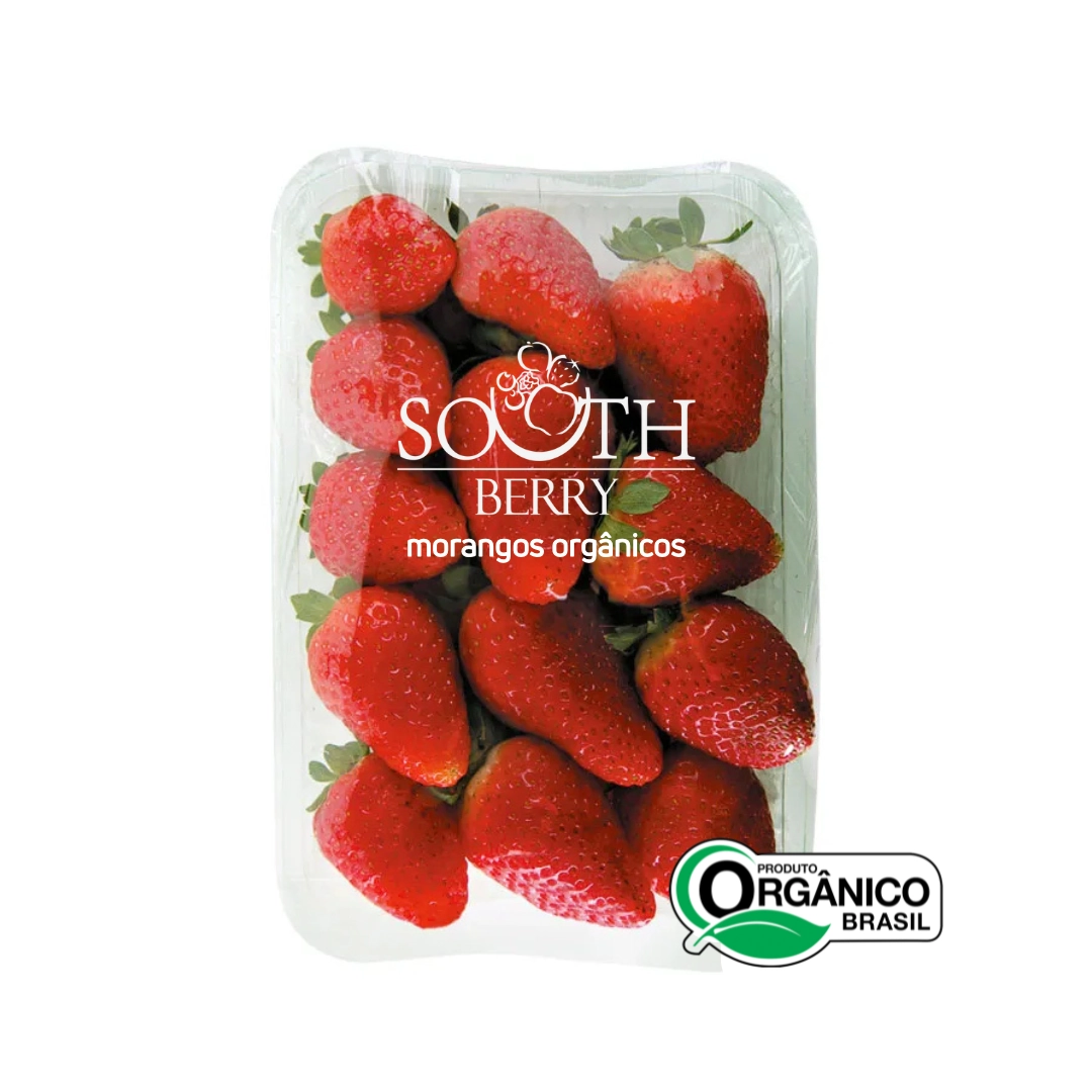 Morango Organico Andreazza 250g Bdj