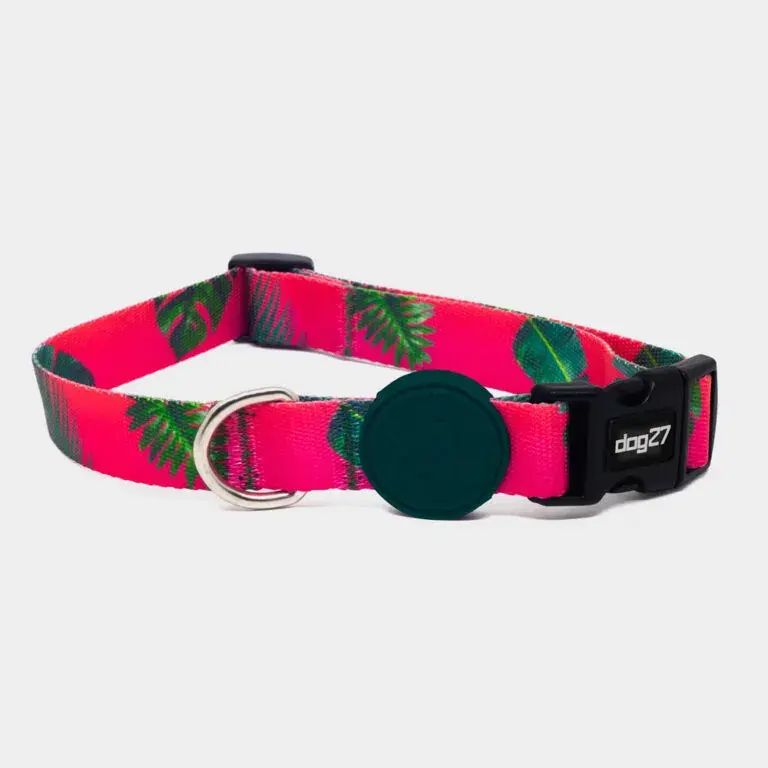 Coleira Dog27 Leaves M