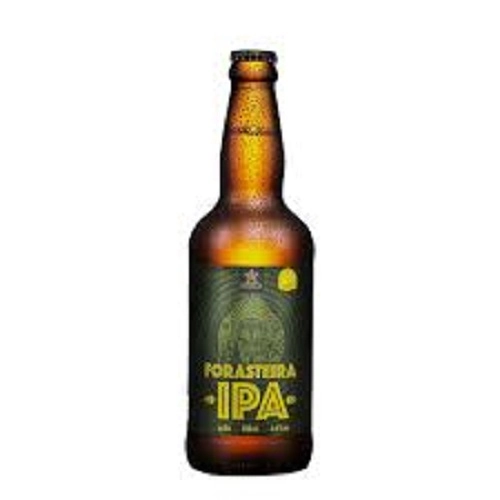 Cerveja artesanal Campinas IPA Todo Dia 355ml