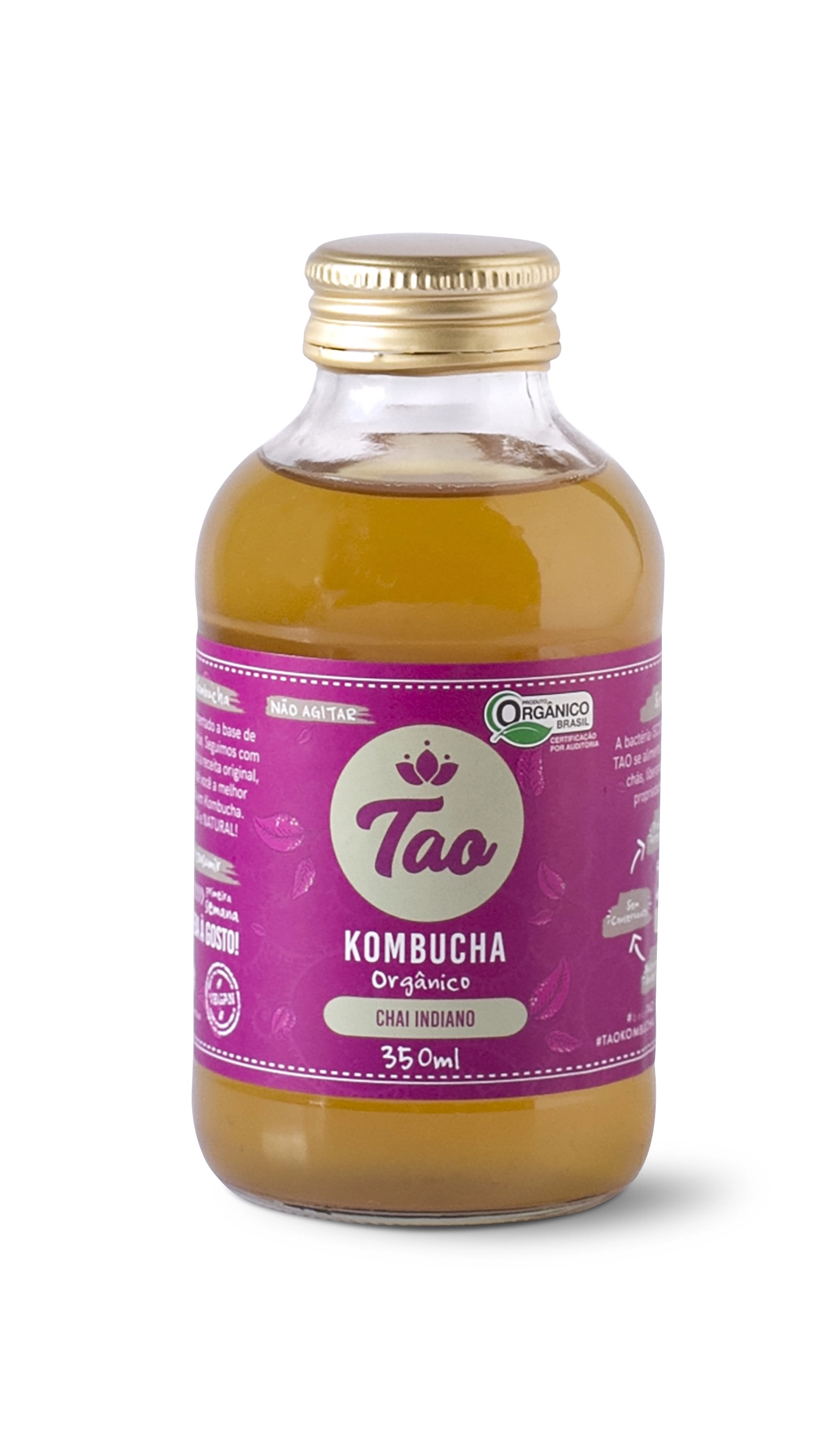 Kombucha Chai Indiano Tao 300ml