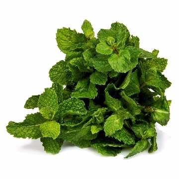 Hortela Hidroponico Nossa Casa Un