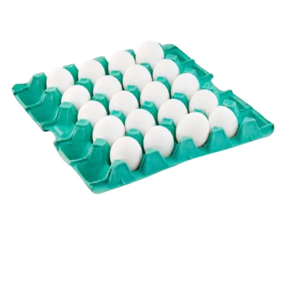 Ovo Bco Gd Pvc