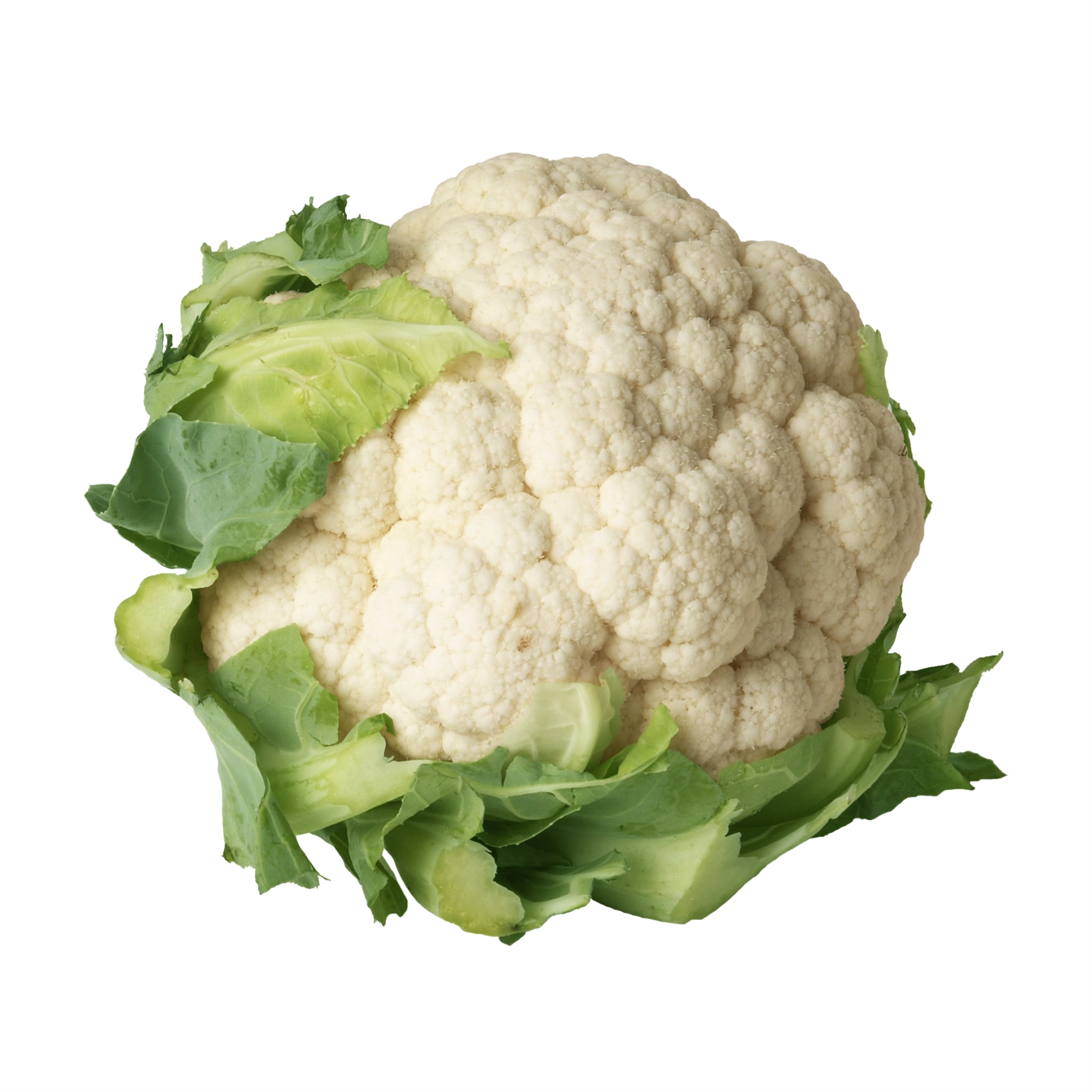 Couve Flor Und