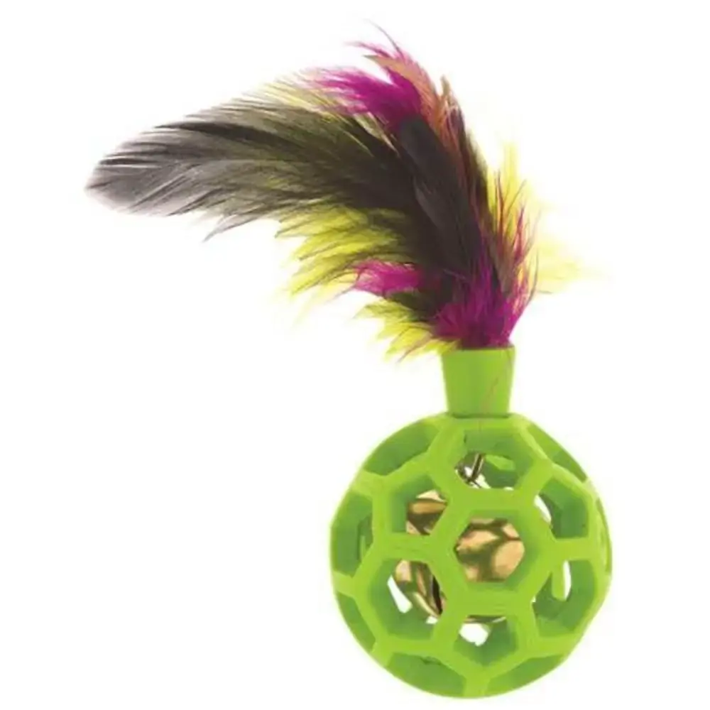 Brinquedo Feather Ball Verde Jw Pet